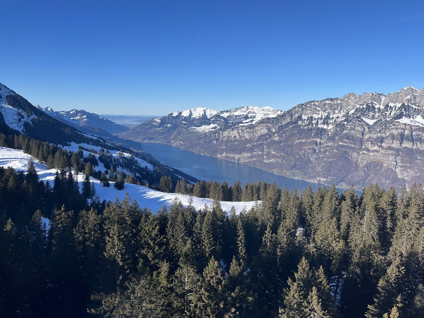 Schneebedeckte Berge und immergrüne Bäume umrahmen einen großen See unter einem klaren blauen Himmel.