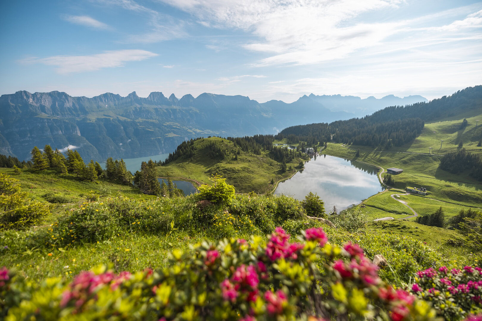 Berglandschaft mit einem See, grünen Hügeln und vereinzelten Bäumen unter blauem Himmel. Im Vordergrund sind rosa Blumen zu sehen, im Hintergrund sind ferne Berge zu sehen.